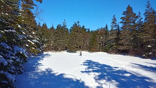 Parc des Buck
