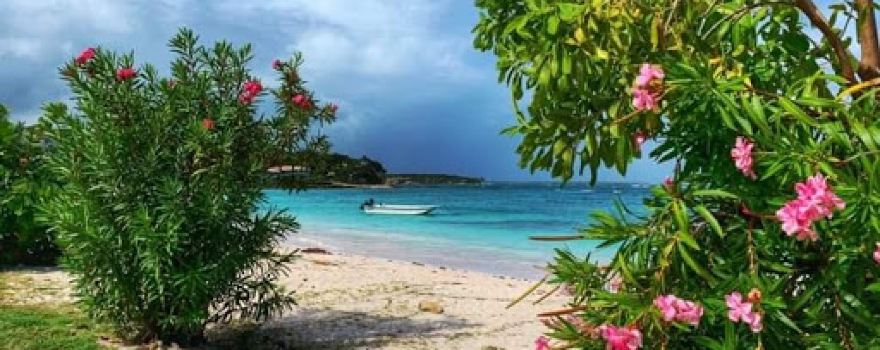 Long Bay Beach