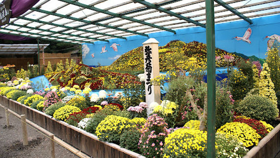Yahiko Shrine First Torii