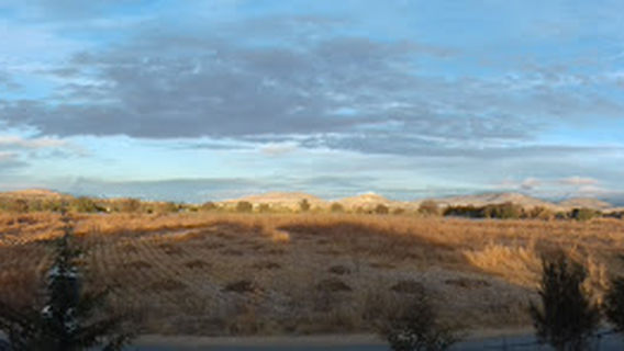 Hidalgo Park