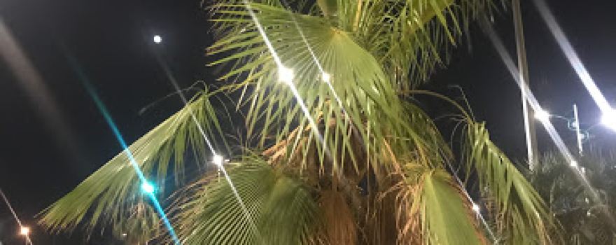 Al-Matan Park