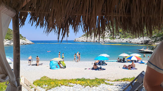 Paralia Glisteri