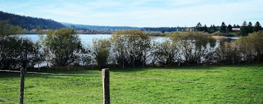 Sentier des libellules
