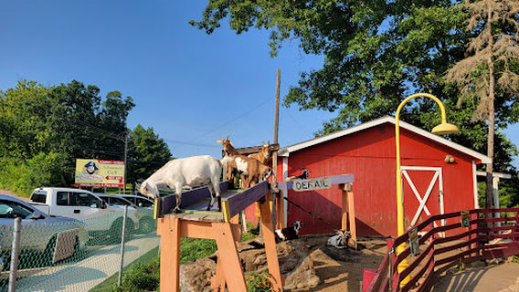 Timber Falls Adventure Park