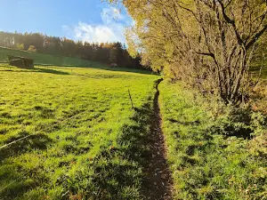 Lochbachklamm