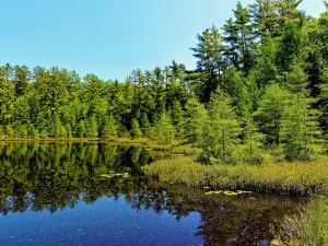 Rock Lake State Natural Area
