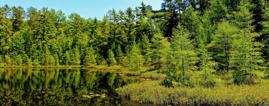 Rock Lake State Natural Area