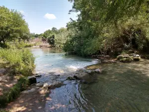 Rotary Park