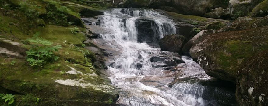 Appalachia Trailhead