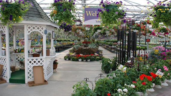 Bertrand Township