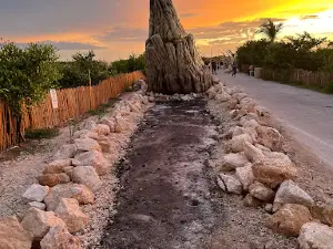 SENDERO JURÁSICO