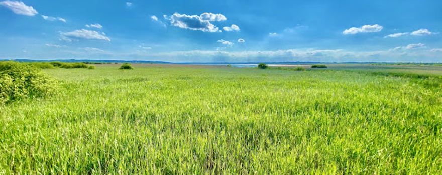 Aussichtsplattform Federsee