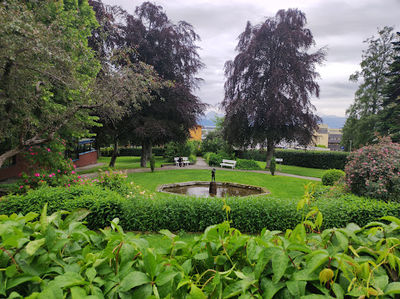 The Château