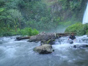 Niagara Sigerincing