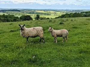 Sundon Hills Country Park