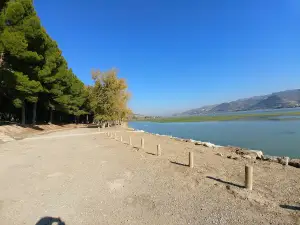 Càmping Octogesa