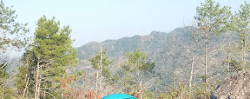 Puncak Gunung Pringgitan - ꦥꦸꦚ꧀ꦕꦏ꧀ꦥꦿꦶꦁꦒꦶꦠꦤ꧀