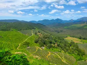 Kodikuthy View Point