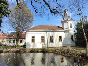 Kámoni arborétum
