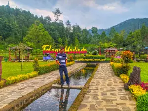 Telaga Madirda