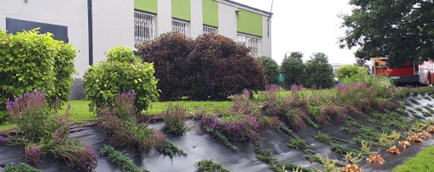 Gminna Biblioteka Publiczna w Rudzińcu