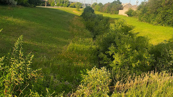 Rainbow Park