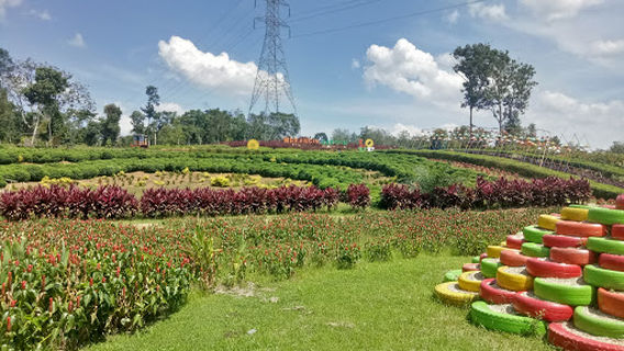 Merangin Garden