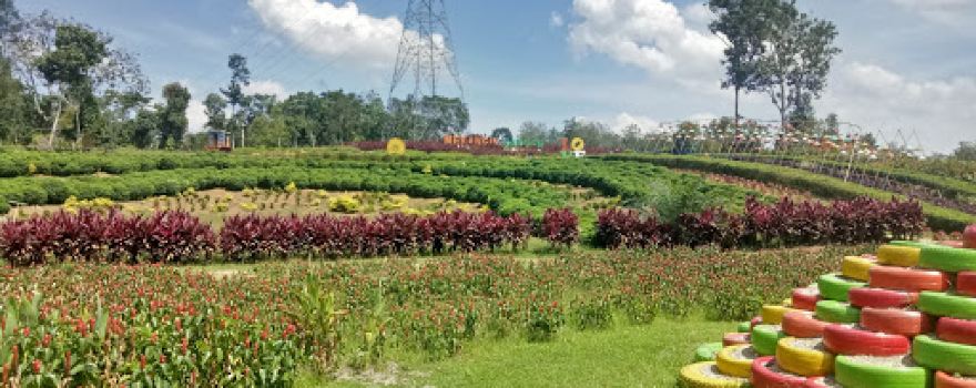 Merangin Garden