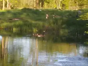 Knife Lake