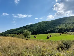 Cugir River