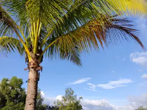 Taman Rekreasi Pendang