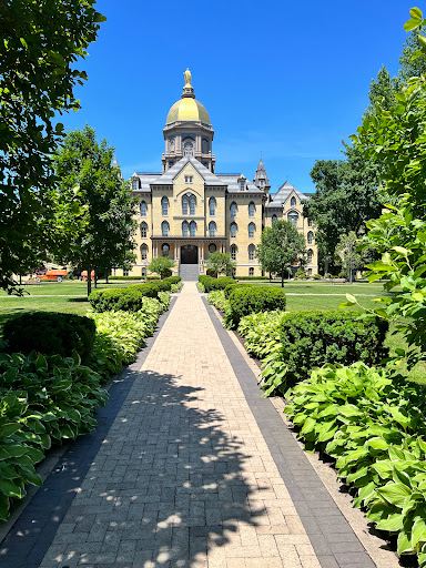 The Golden Dome