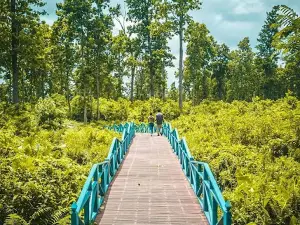 Betana Wetland