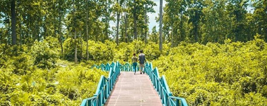 Betana Wetland