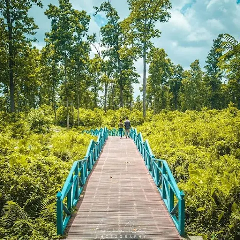 Betana Wetland