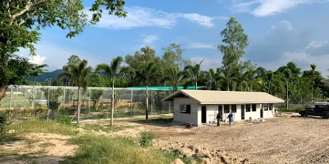 Stripes Restaurant and Thailand Tiger Rescue Centre