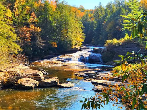 Swallow Falls Natural Area