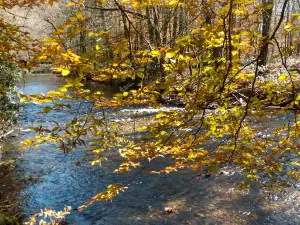 Sycamore Flats Recreational Area