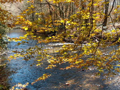 Sycamore Flats Recreational Area