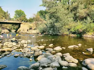 bridge tortillas