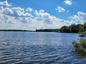Snagov Forest protected area