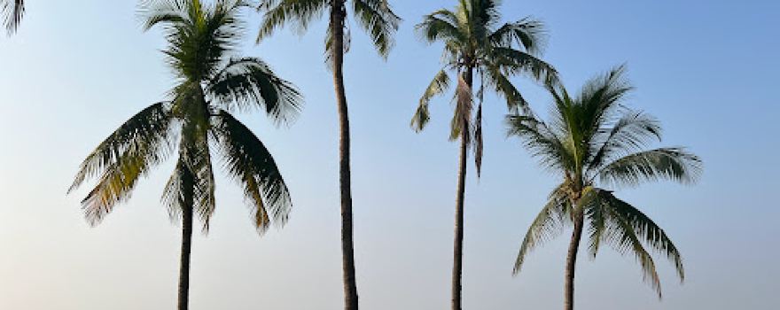 Muchapur beach
