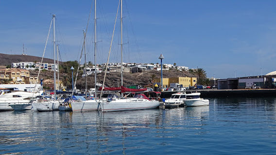 Dolfin Tour