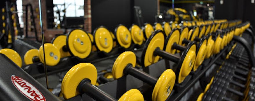 Fitness Factory Health Clubs Lightsview