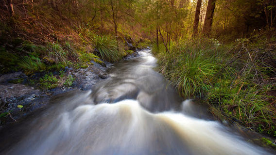 Beedelup Recreational Lake