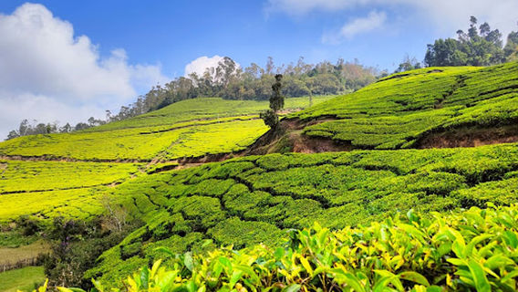 Munnar