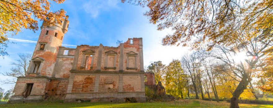 Palace Runowo Krajeńskie - ruins