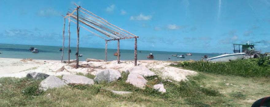 Guaiamum Vivo - Venda de Frutos do Mar
