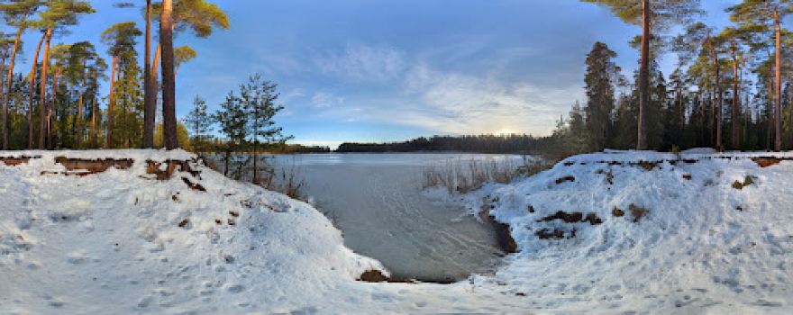 Seljametsa järv