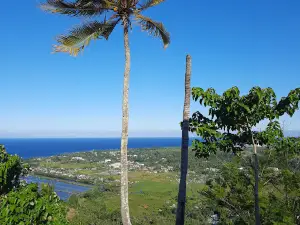 Titus Paradise